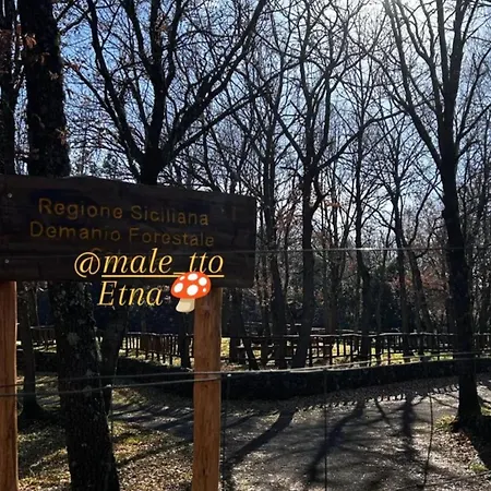 Casa Parrinello Etna بيت للعطل Maletto